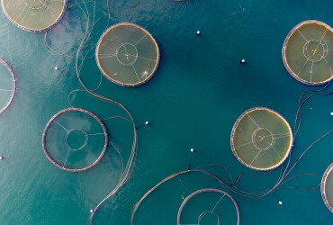 AQUACULTURE